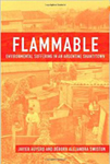 Flammable: Environmental Suffering in an Argentine Shantytown